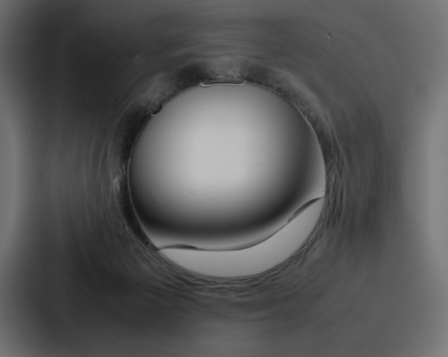 X0000086740125200705111642