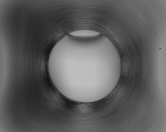 X0000086740126200705111642