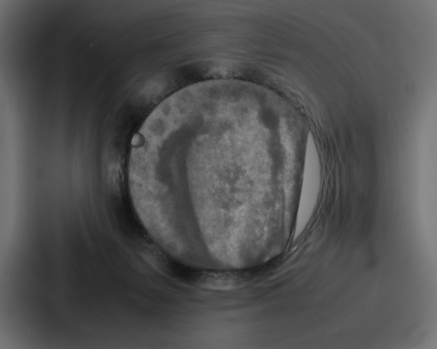 X0000086740127200705111642