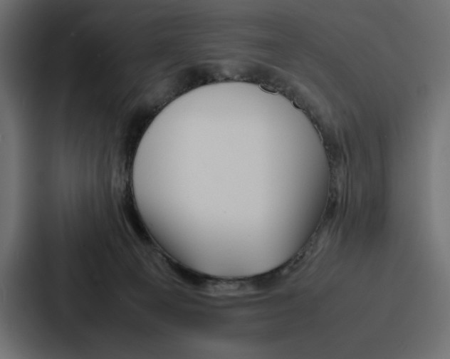 X0000086740129200705111642