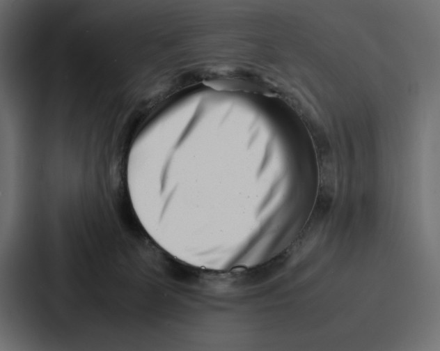 X0000086740131200705111642