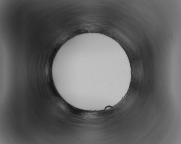 X0000086740132200705111642