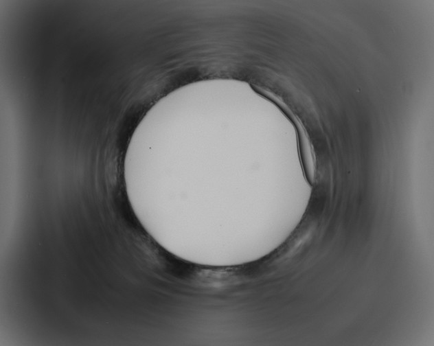 X0000086740133200705111642