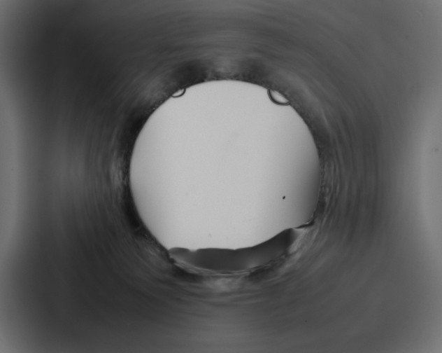 X0000086740135200705111642
