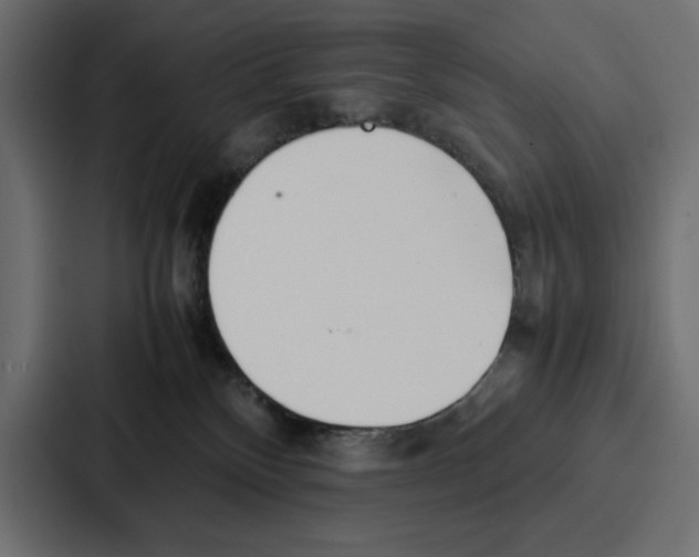X0000086740136200705111642