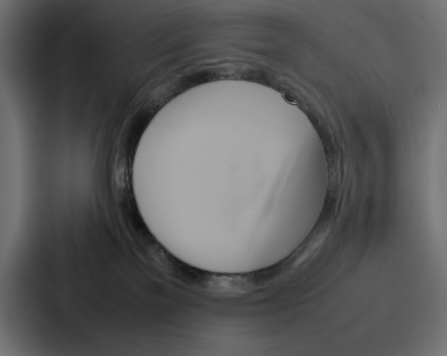 X0000086740137200705111642