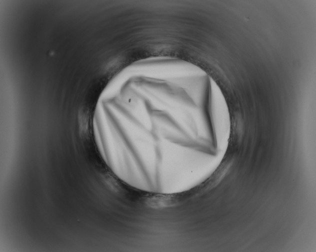 X0000086740138200705111642