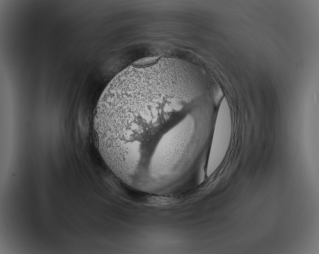X0000086740139200705111642