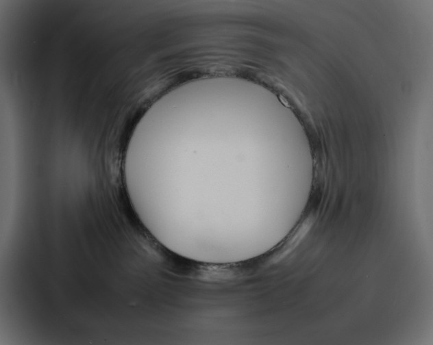 X0000086740141200705111642