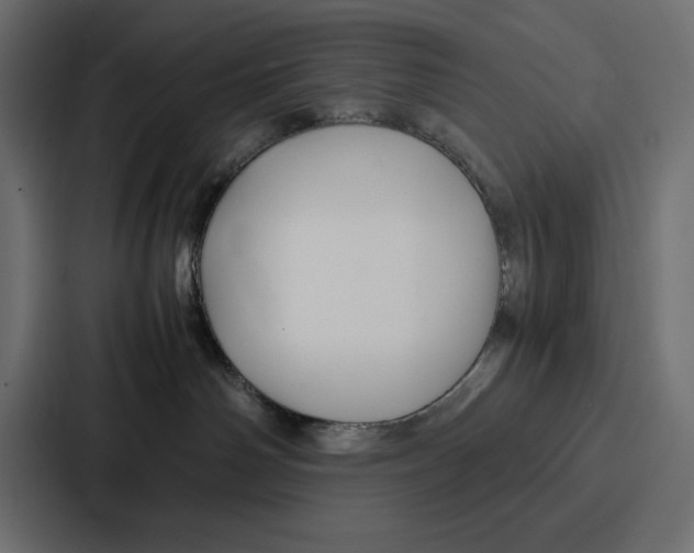 X0000086740142200705111642