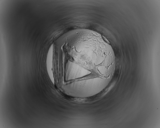 X0000086740143200705111642
