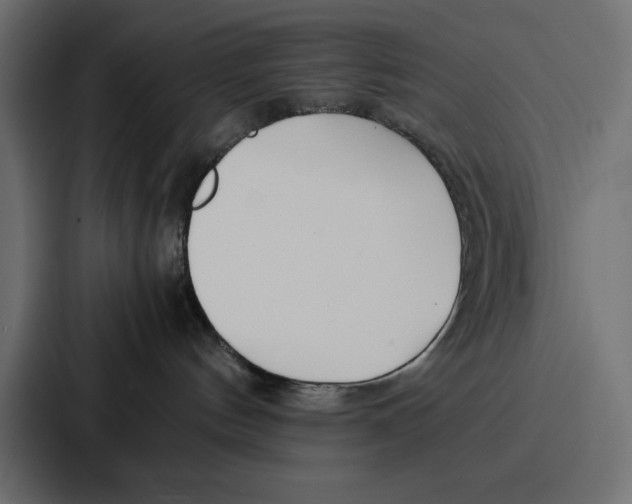 X0000086740144200705111642
