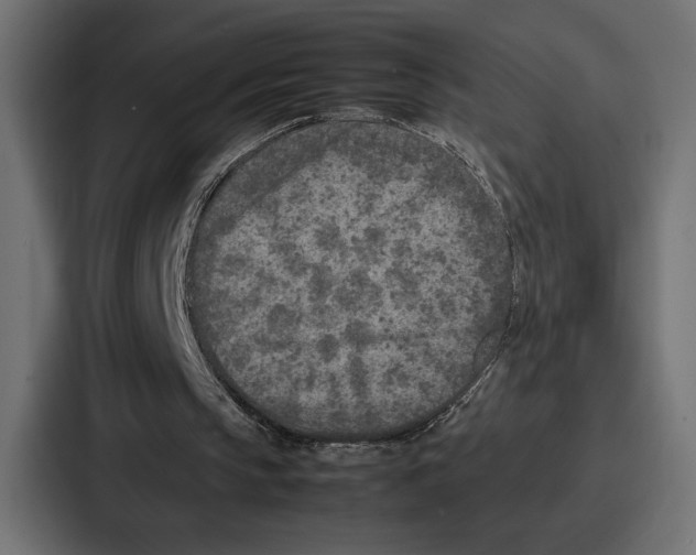 X0000086740145200705111642