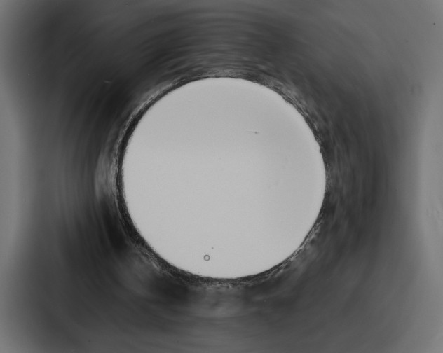 X0000086740146200705111642