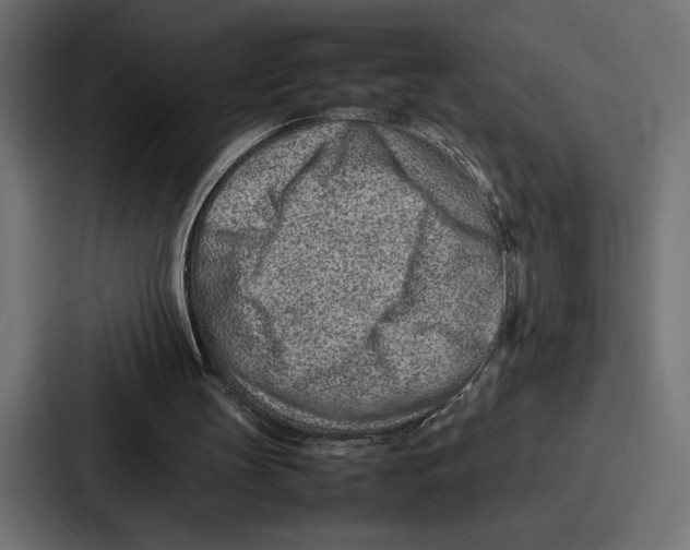 X0000086740147200705111642