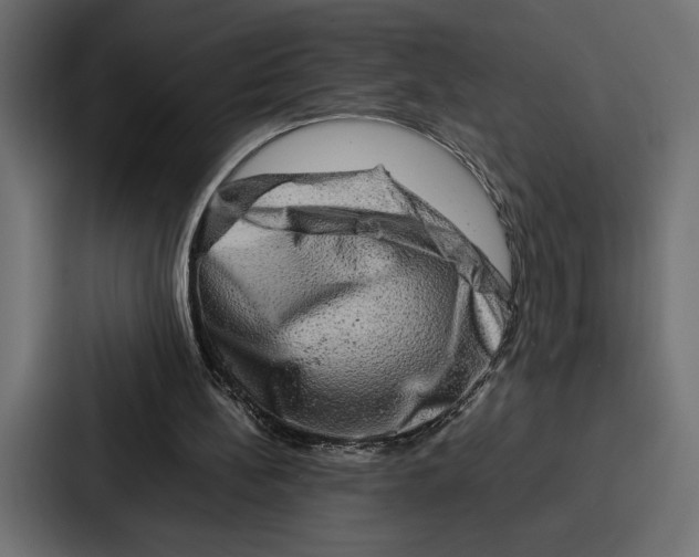 X0000086740148200705111642
