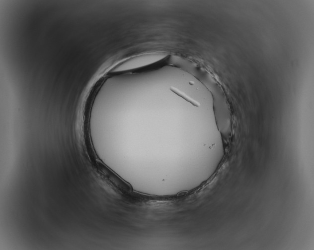 X0000086740150200705111642