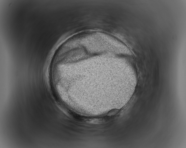 X0000086740151200705111642