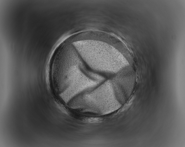 X0000086740152200705111642