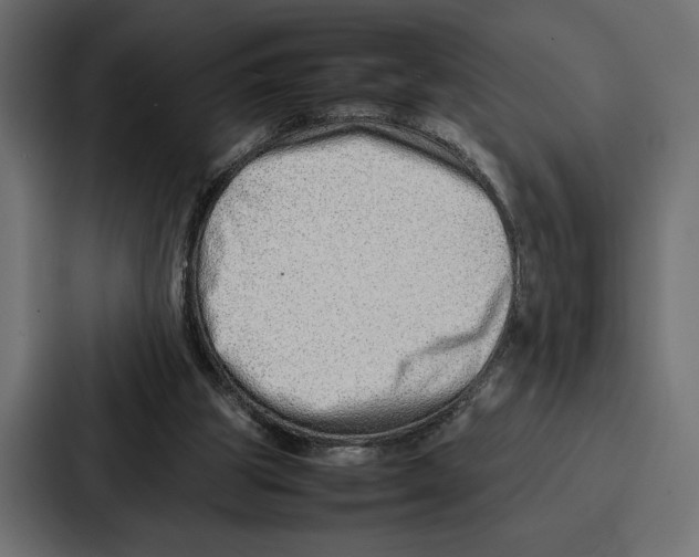 X0000086740153200705111642