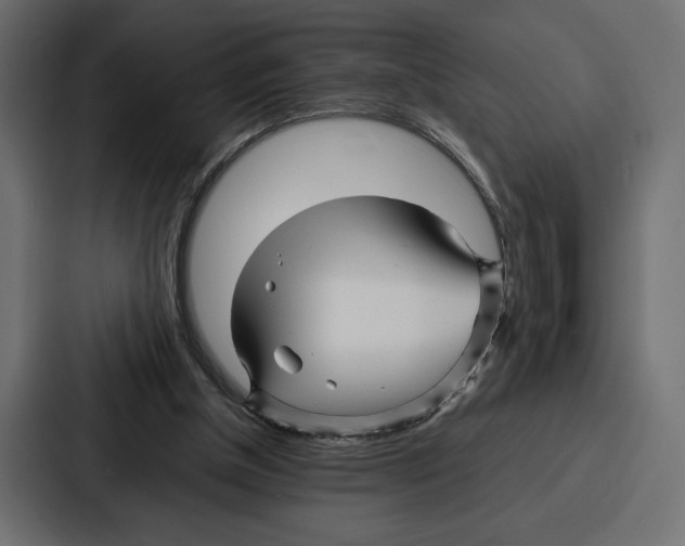 X0000086740154200705111642