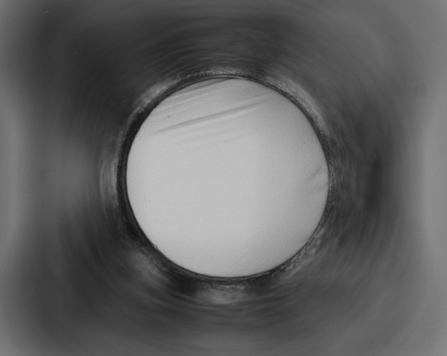 X0000086740155200705111642