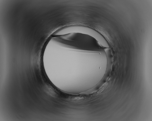 X0000086740156200705111642