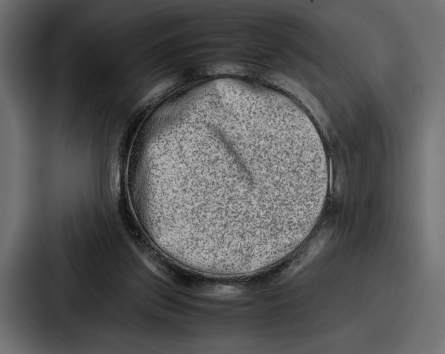 X0000086740157200705111642