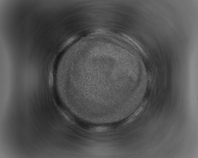 X0000086740158200705111642
