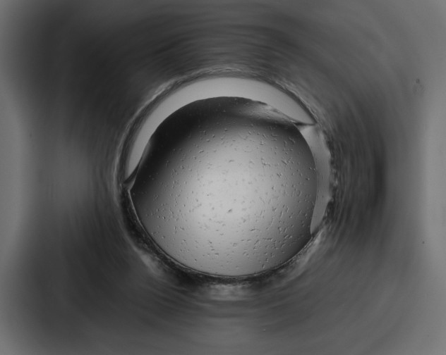 X0000086740160200705111642