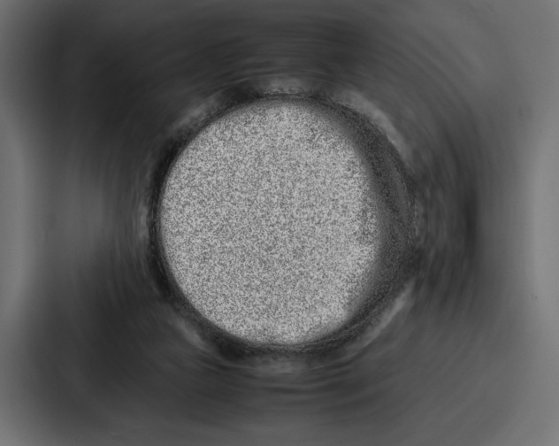 X0000086740161200705111642