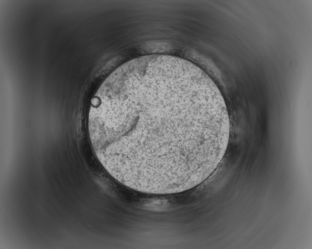 X0000086740162200705111642