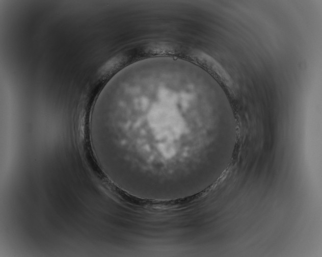 X0000086740163200705111642