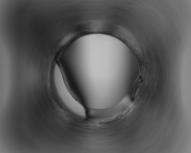 X0000086740164200705111642