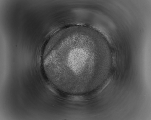 X0000086740165200705111642