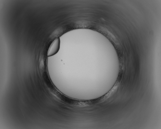 X0000086740166200705111642