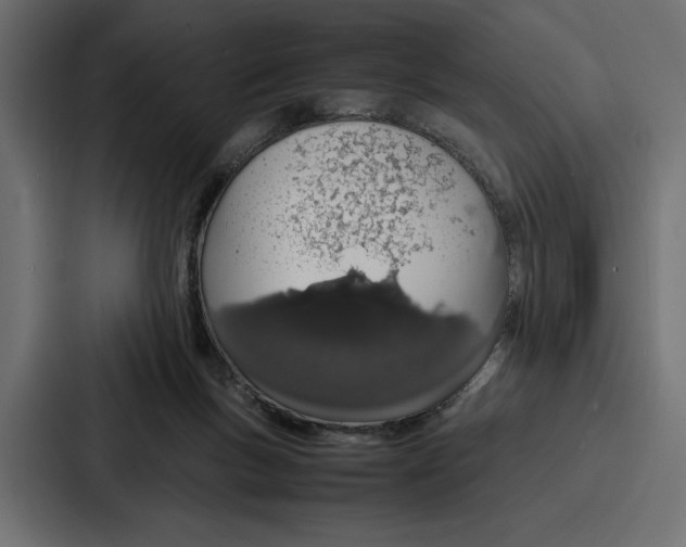 X0000086740167200705111642