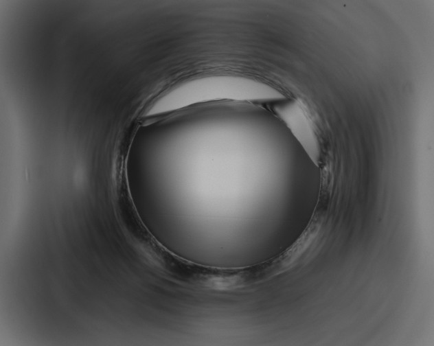 X0000086740168200705111642