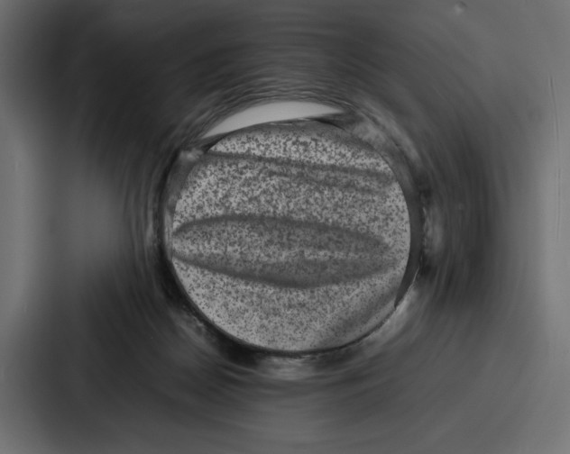 X0000086740170200705111642