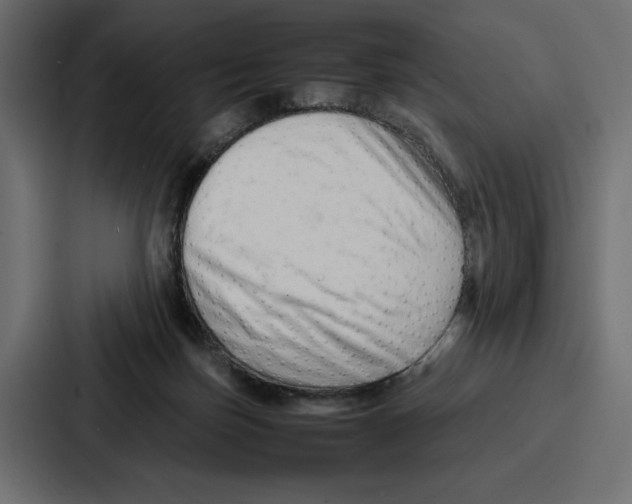 X0000086740171200705111642