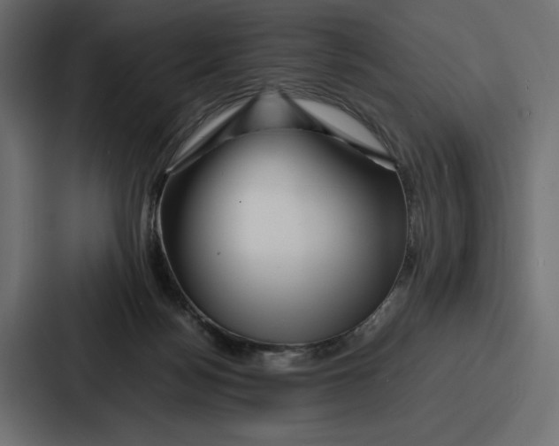 X0000086740172200705111642