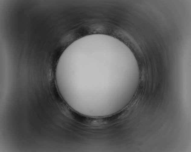 X0000086740173200705111642