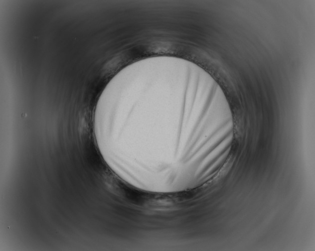 X0000086740175200705111642