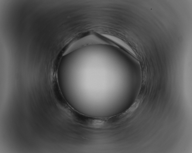 X0000086740176200705111642