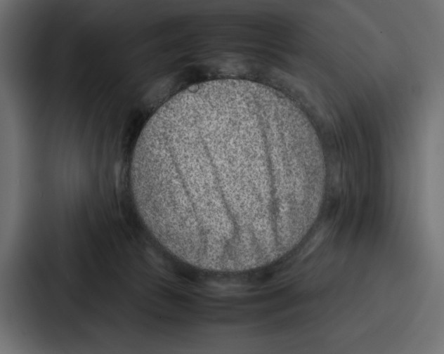 X0000086740177200705111642