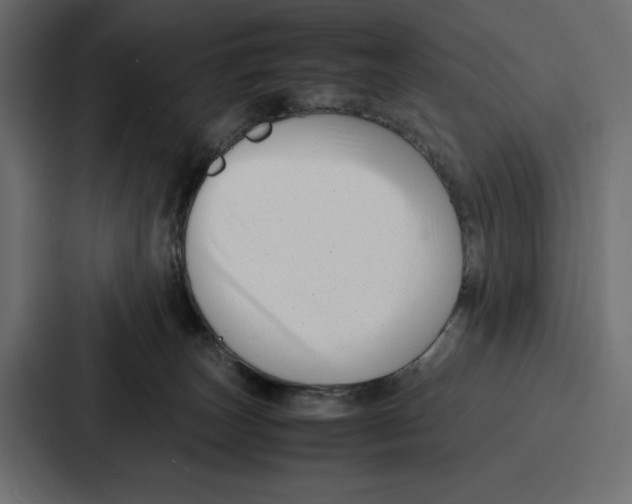 X0000086740179200705111642