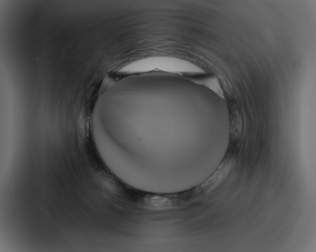 X0000086740180200705111642