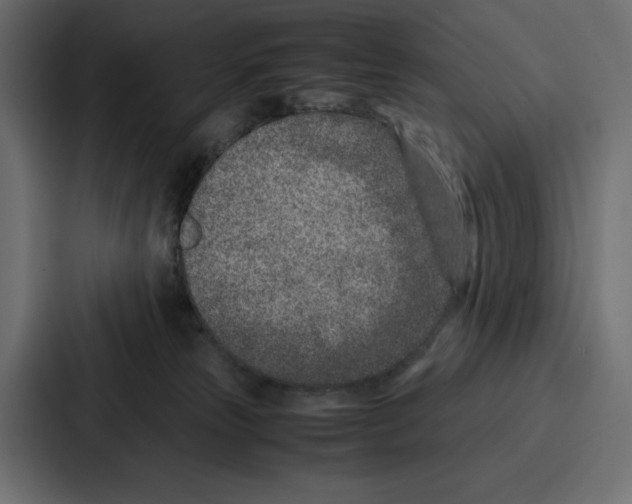 X0000086740181200705111642