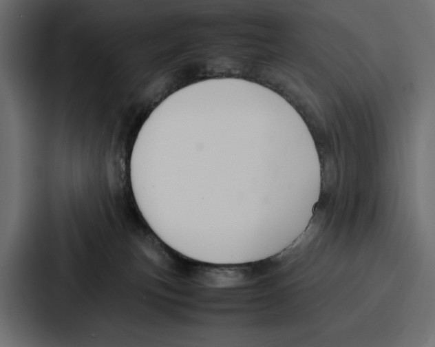 X0000086740183200705111642