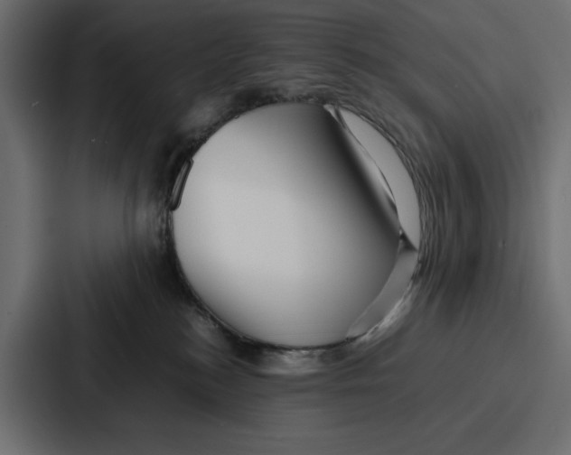X0000086740184200705111642